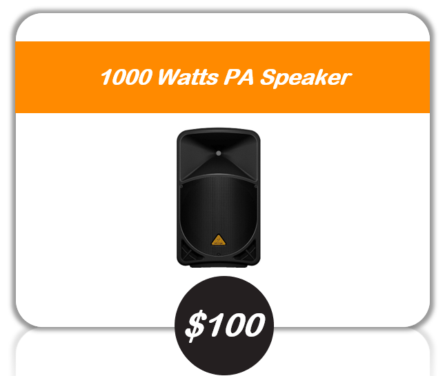 1000 watts PA speaker