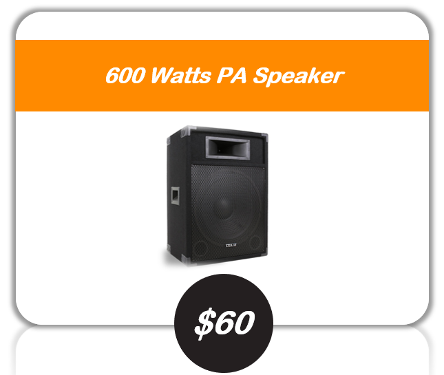 600 watts PA speaker