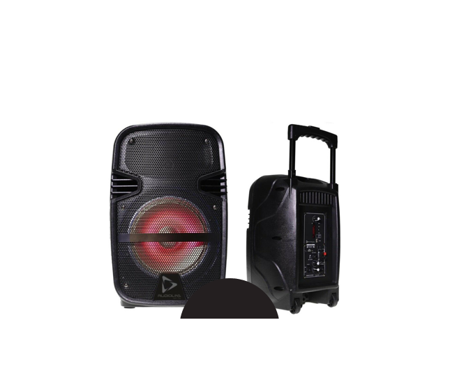 Sydney Projector hire - battery powered PA speaker